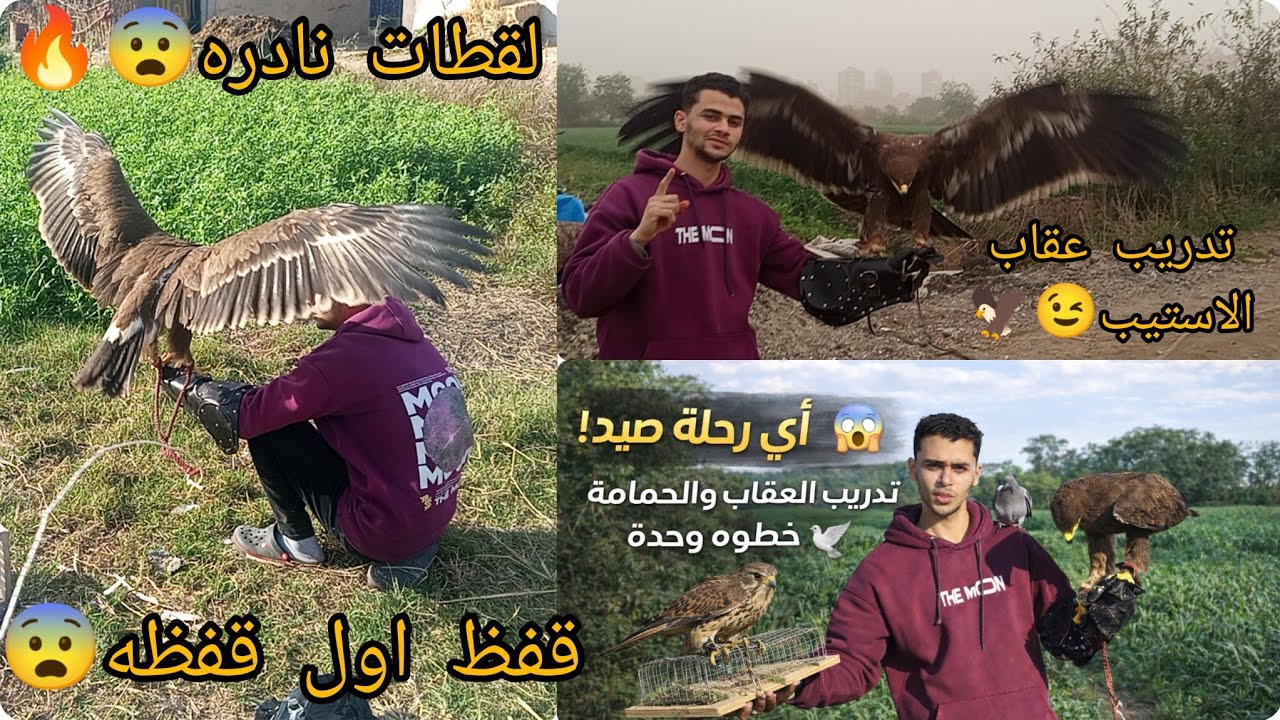 أقوى رحلة صيد صقور ولقطات نادرة لأول مرة🔥🦅