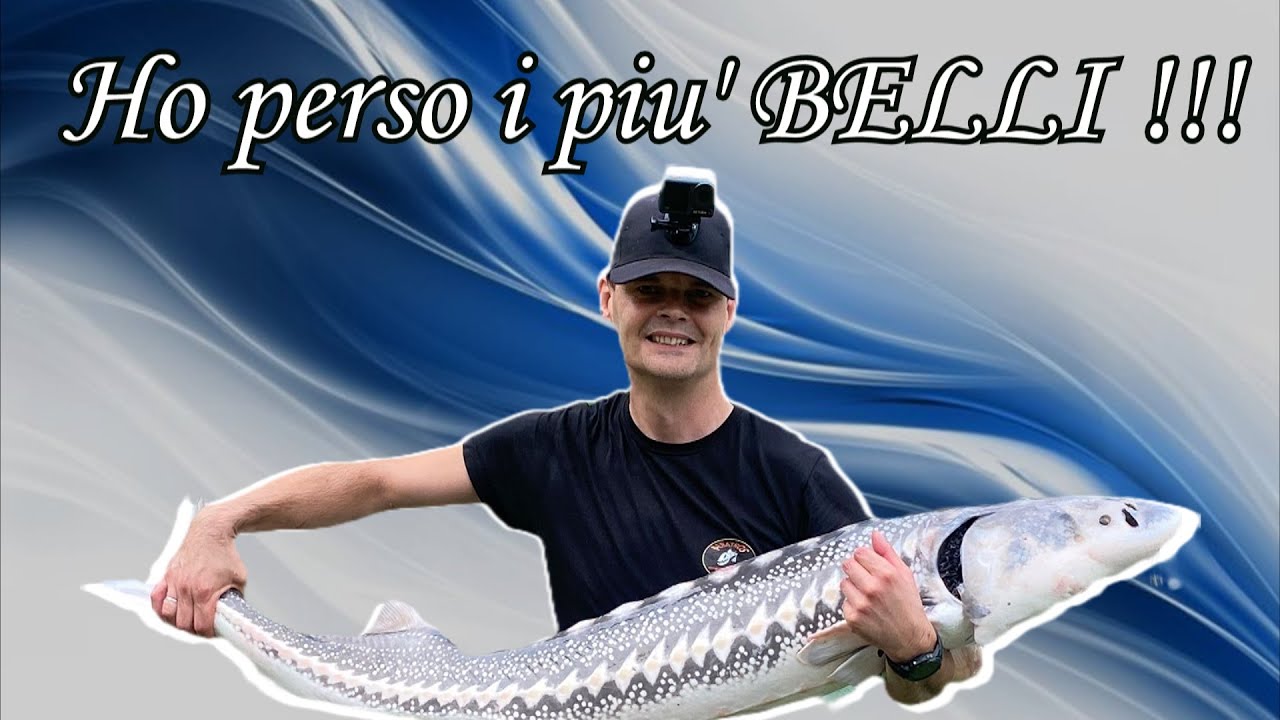 PESCA ALLO STORIONE : HO PERSO I PIU' BELLI