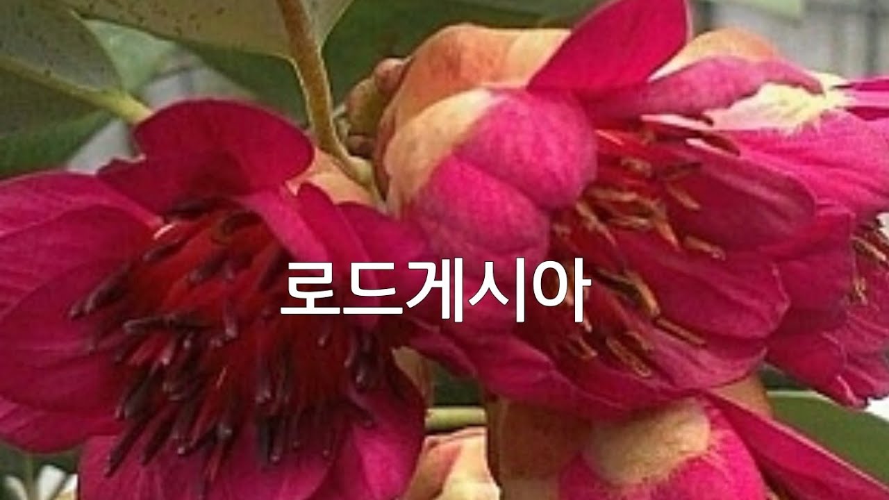 2026년 2월 11일