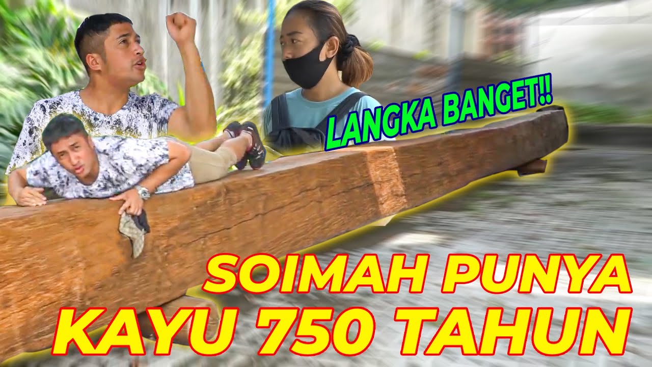 #EPS04 SPESIAL JOGJA | BERDIRI TEGAK PERKASA KAYU TUA 750TAHUN