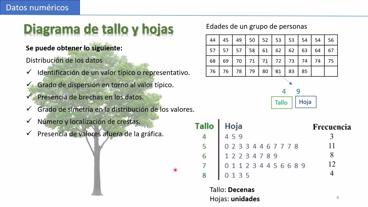 Descripción gráfica de datos y sus frecuencias