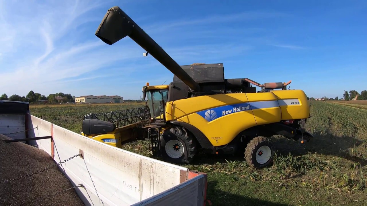 Trebbiatura Sorgo 2019 | Sorghum Harvest 2019 | New Holland | John Deere | Zaccaria