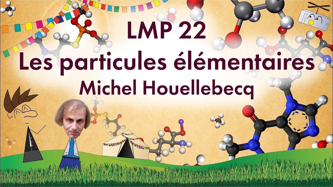 LMP 21 : LES PARTICULES ELEMENTAIRES, Michel Houellebecq