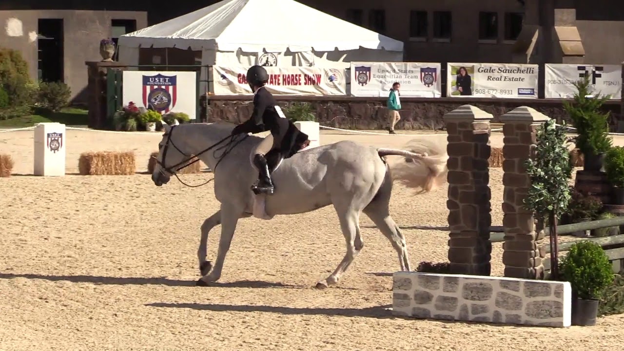 Steel City ridden by Hannah Politsky 2'6