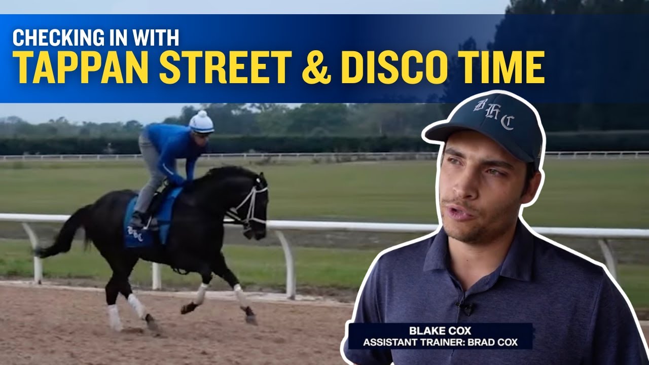 Check in with the Brad Cox Barn on TAPPAN STREET and DISCO TIME