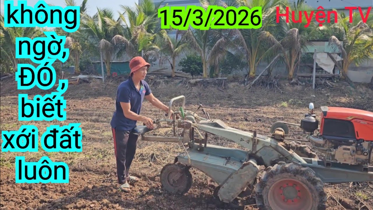 KHÔNG NGỜ, ĐÓ, BIẾT XỚI ĐẤT LUÔN KHÁN GIẢ