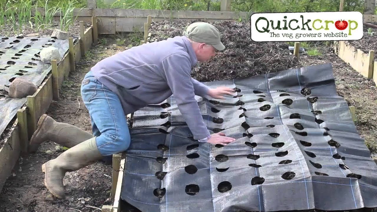 Gro Grid Vegetable Mat and Weed Control
