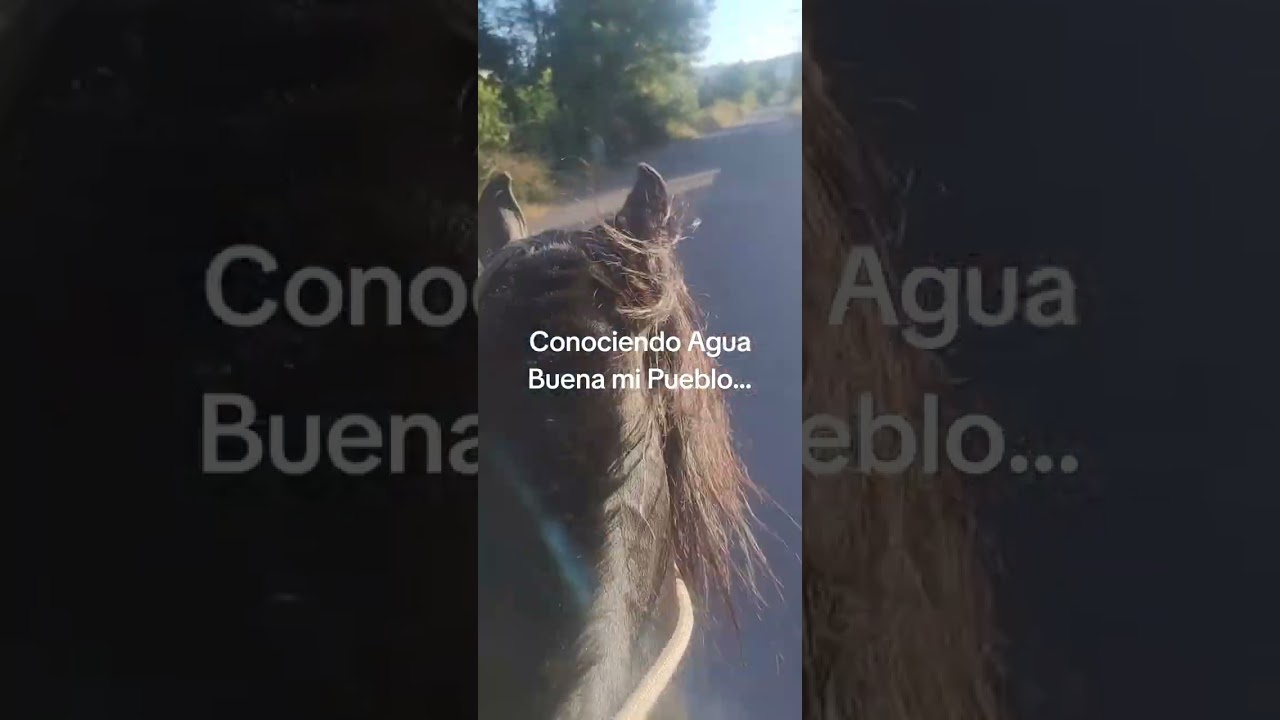 Agua Buena a 14 kilómetros de San Fernando sexta Región  pueblito lindo de Escarapelas La Flora .