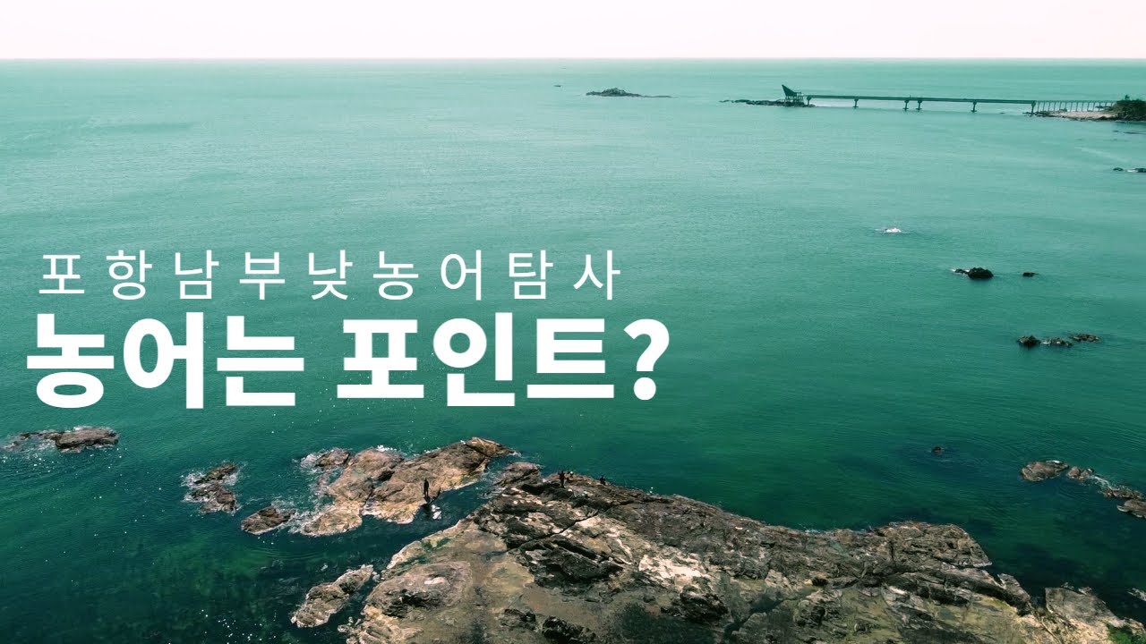 농어뽕은 역시나 무서운 것이였다