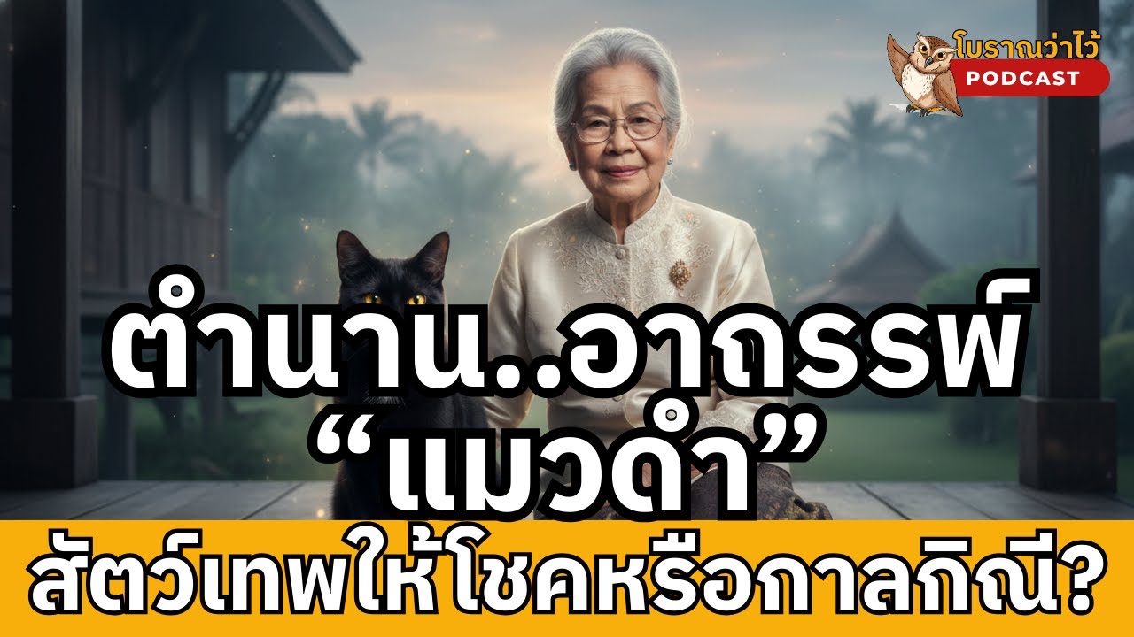 ตำนาน อาถรรพ์แมวดำ | โบราณว่าไว้ ความลับแมวดำ 2569: สัตว์เทพให้โชคหรือกาลกิณี?