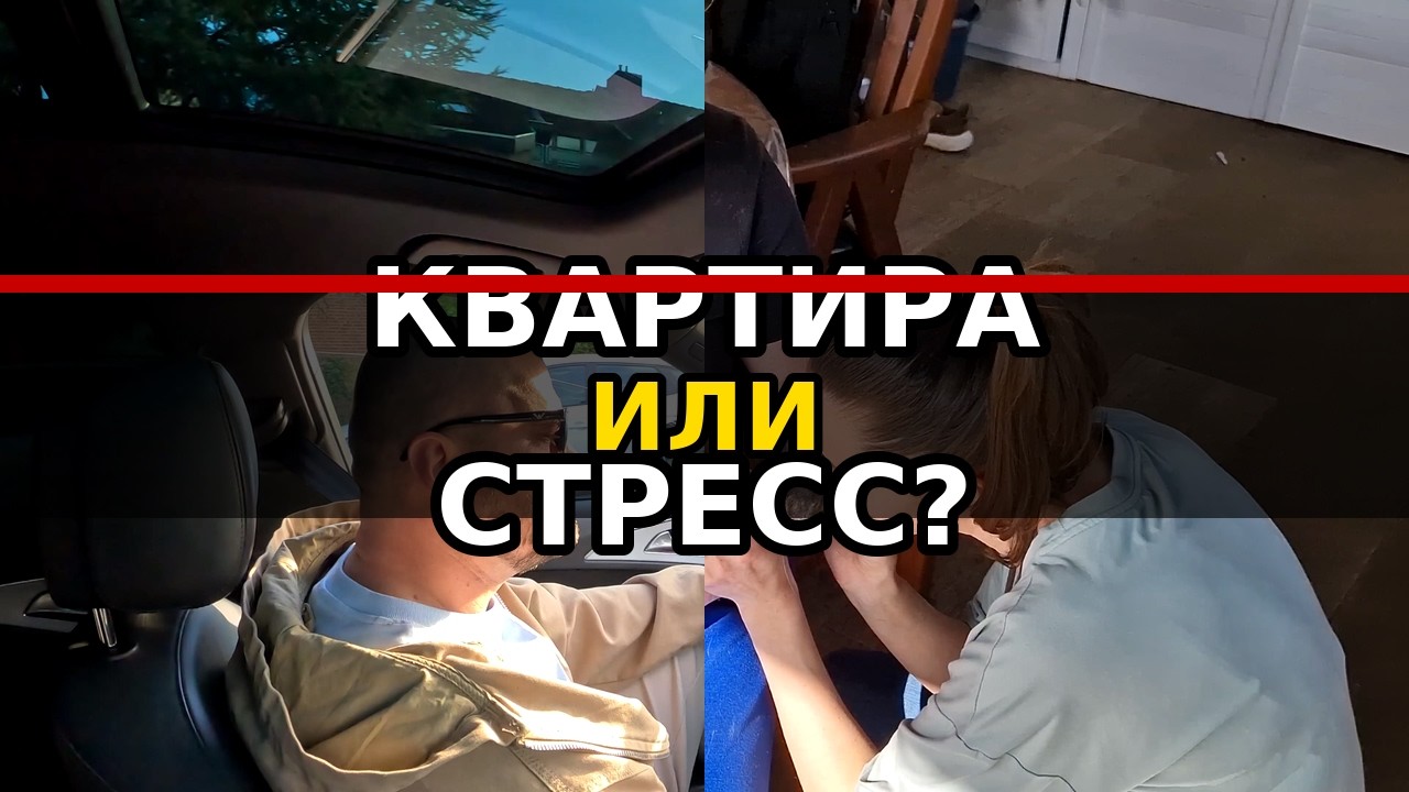 Почему я не покупаю квартиру? И что случилось с моей кошкой…