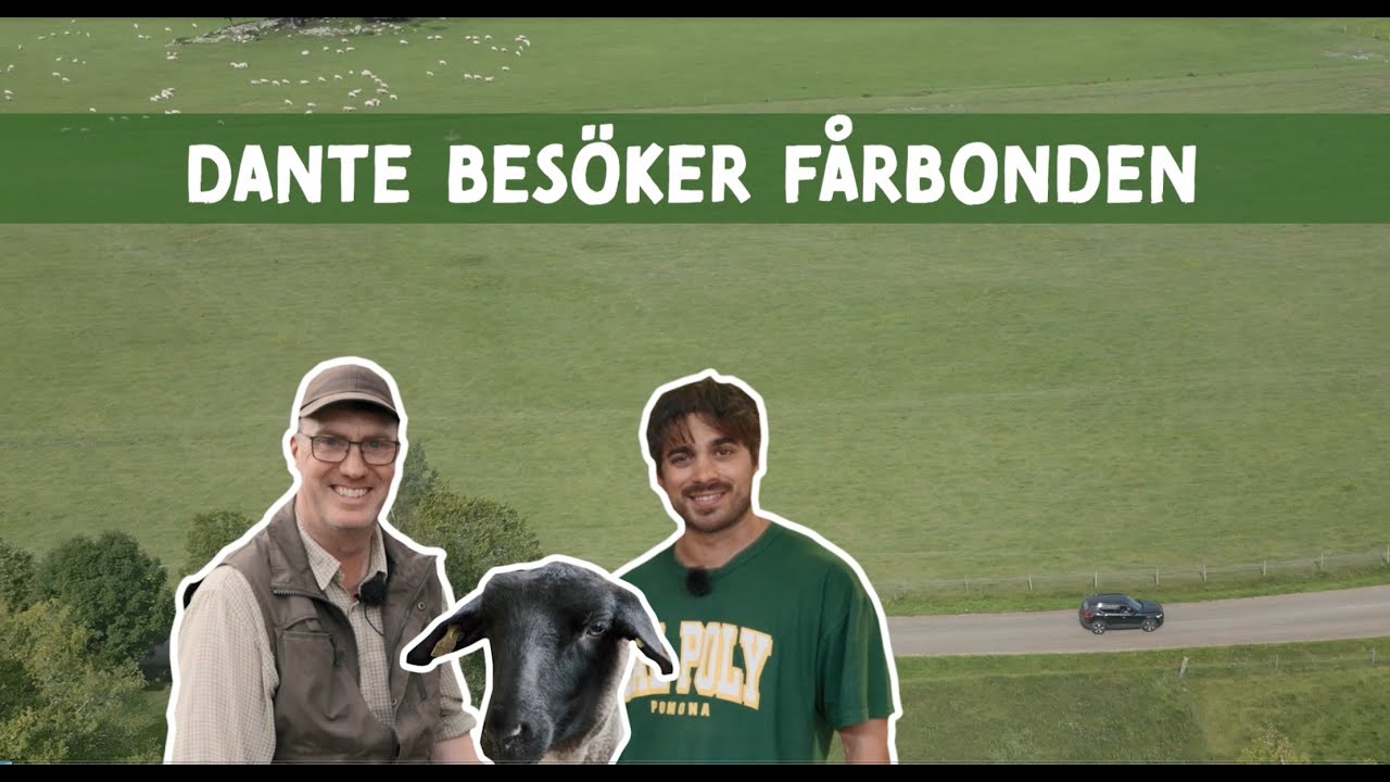Dante besöker fårbonden Tomas