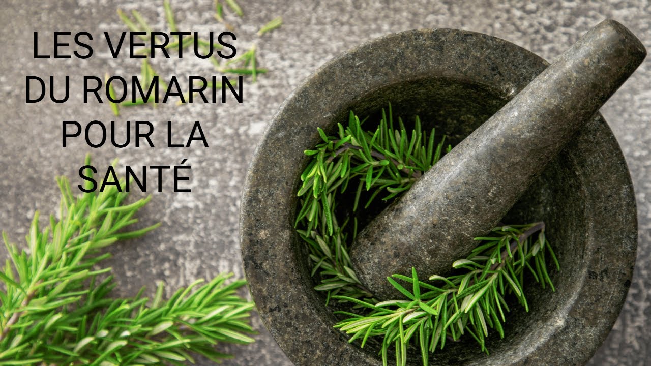 D&eacute;couvrez Pourquoi Le Romarin Est Une Plante Miraculeuse