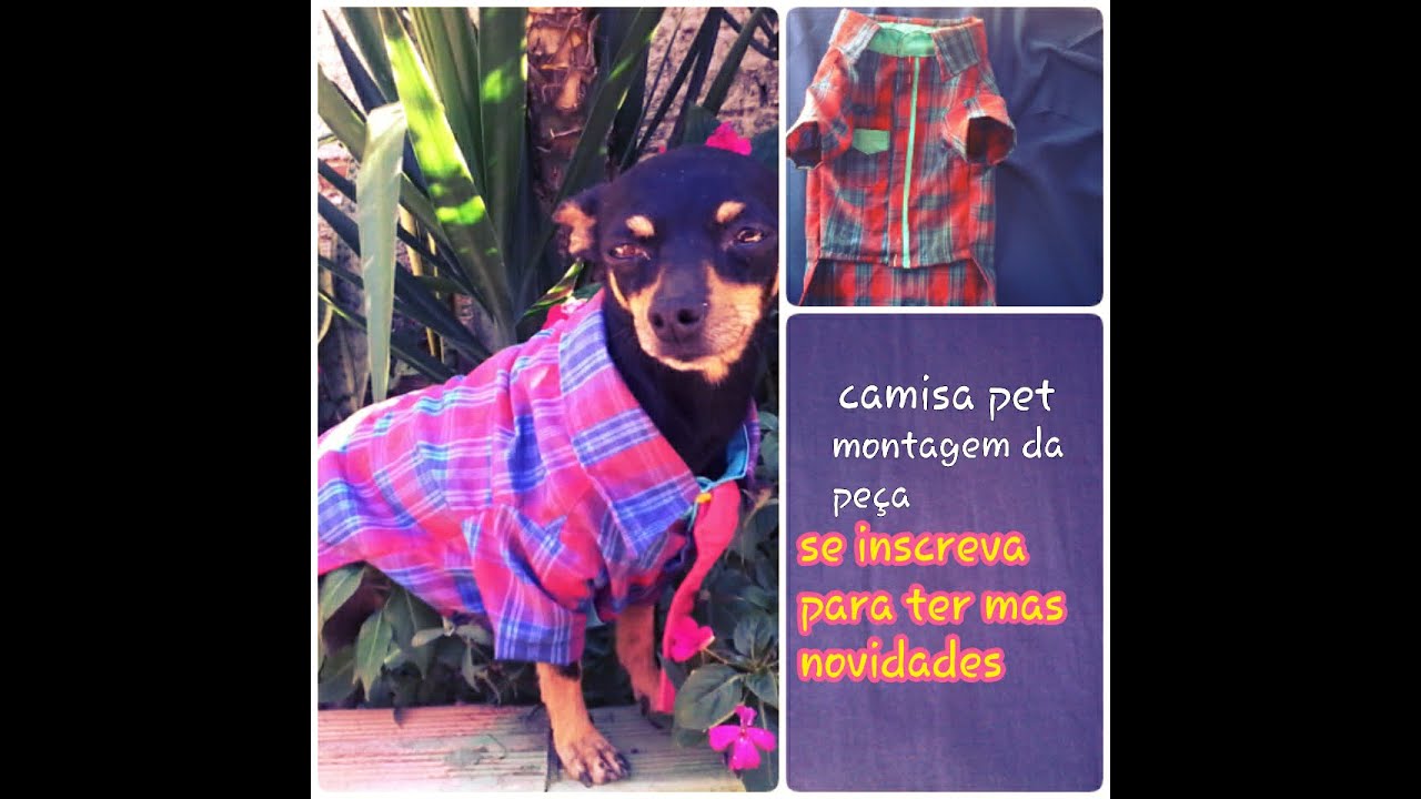 COMO FAZER CAMISA PARA PET  - tecido xadrez { PASSO A PASSO DA MONTAGEM DA PE&Ccedil;A}