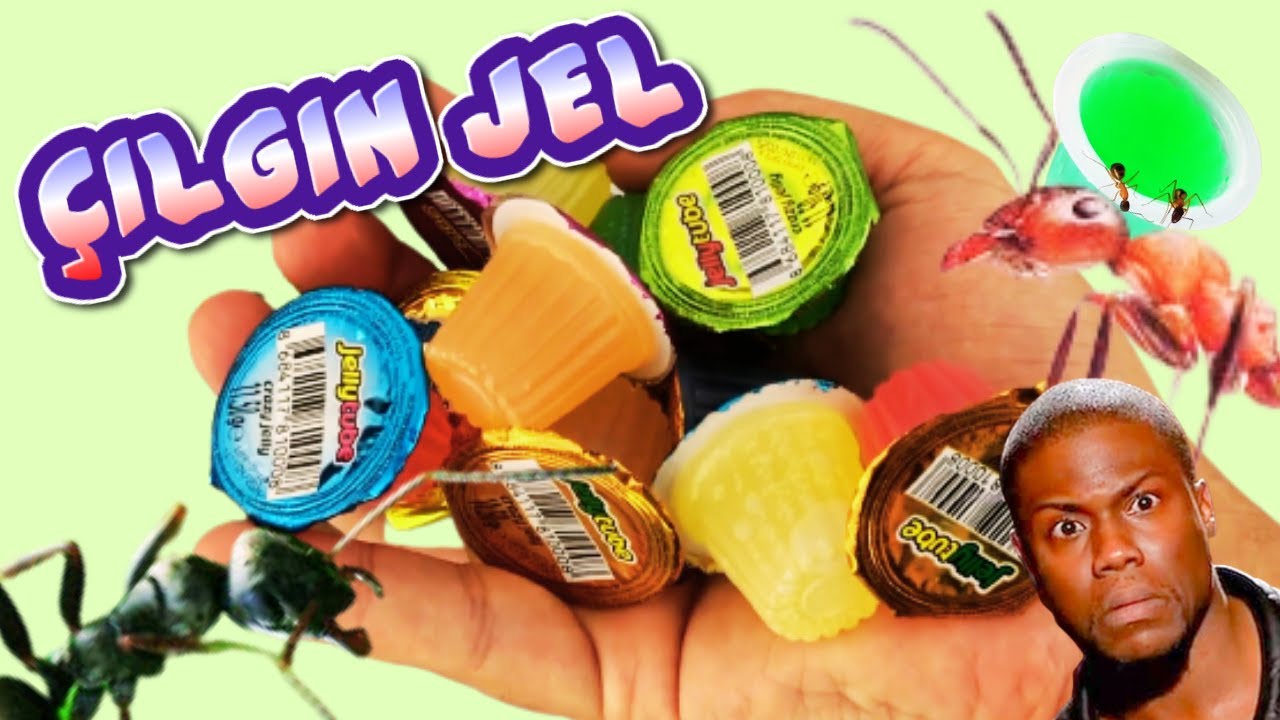 Çılgın Jel Zamanı  /  Outworld'lerdeki Karınca Kolonilerine Küçük Sürprizler Yaptık