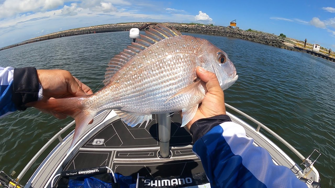 Frustrating Day - Port of Brisbane [Youtube Exclusive]