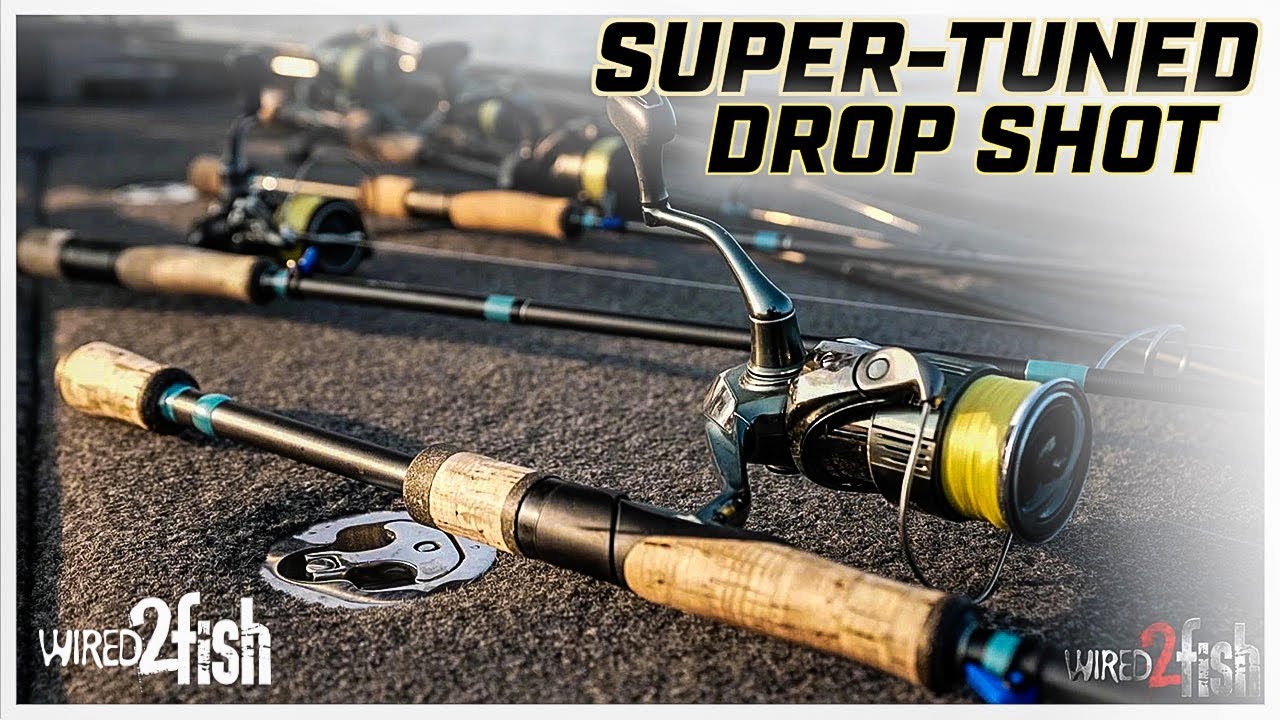 Gussy's Drop Shot Setup for Big Smallmouth Bass