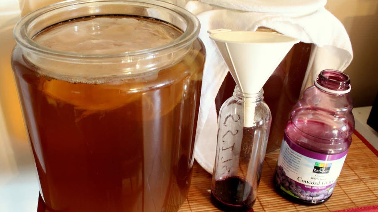 Como Fazer Kombucha - Ch&aacute; Probi&oacute;tico, em Casa