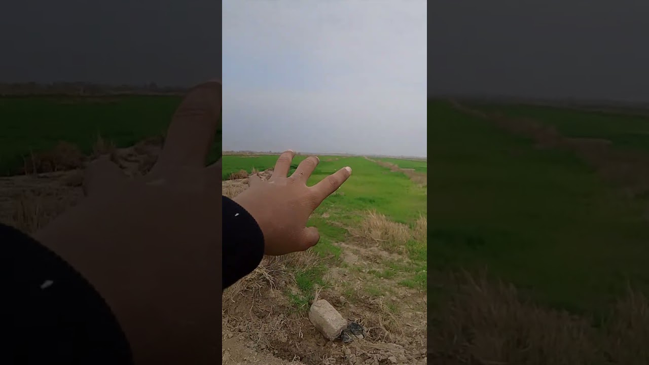 يوم البر 🏕️.        الجواء 🤫