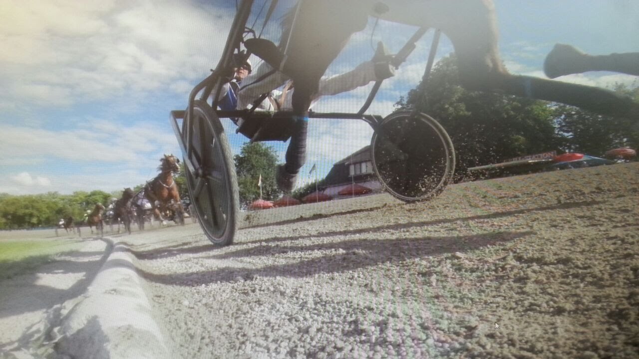 Derby-Woche in Mariendorf Renntag V - 01.08.2015