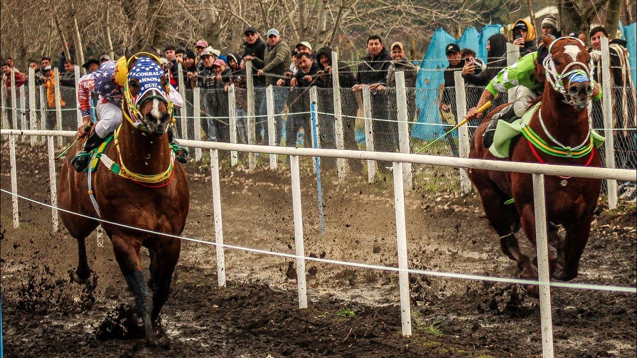 Gran Triunfo De ORO PURO Vs COCODRILO DIAZ , CANCHA HIPICA LAS QUINTAS/ 15-06-2025 #caballos