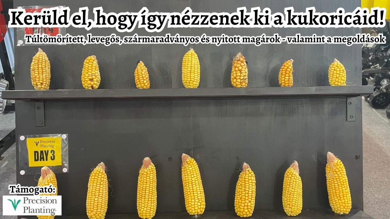 Túltömörített, levegős, szármaradványos és nyitott magárok - Vetéstechnológiai hibák és megoldások