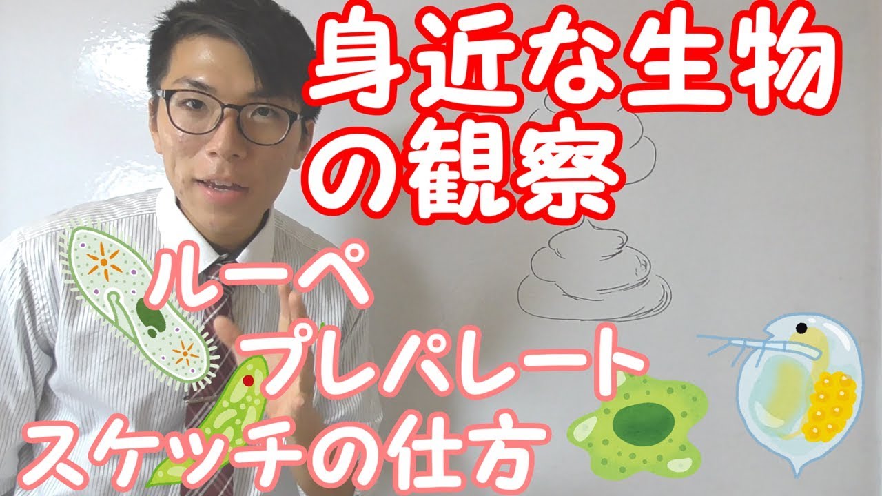 【中学理科】身近な生物の観察～具体的な生物と器具～ 1-1 【中１理科】