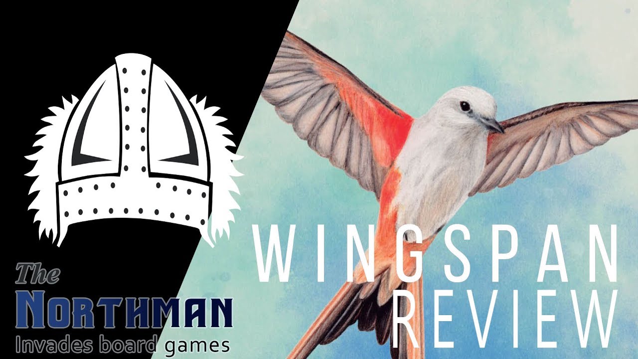 Wingspan review with Andr&eacute; Nordstrand