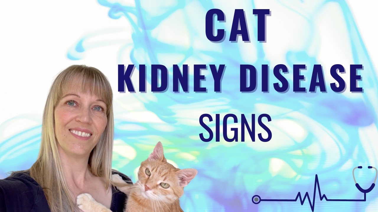 Is Your Cat's Thirst a Warning Sign?