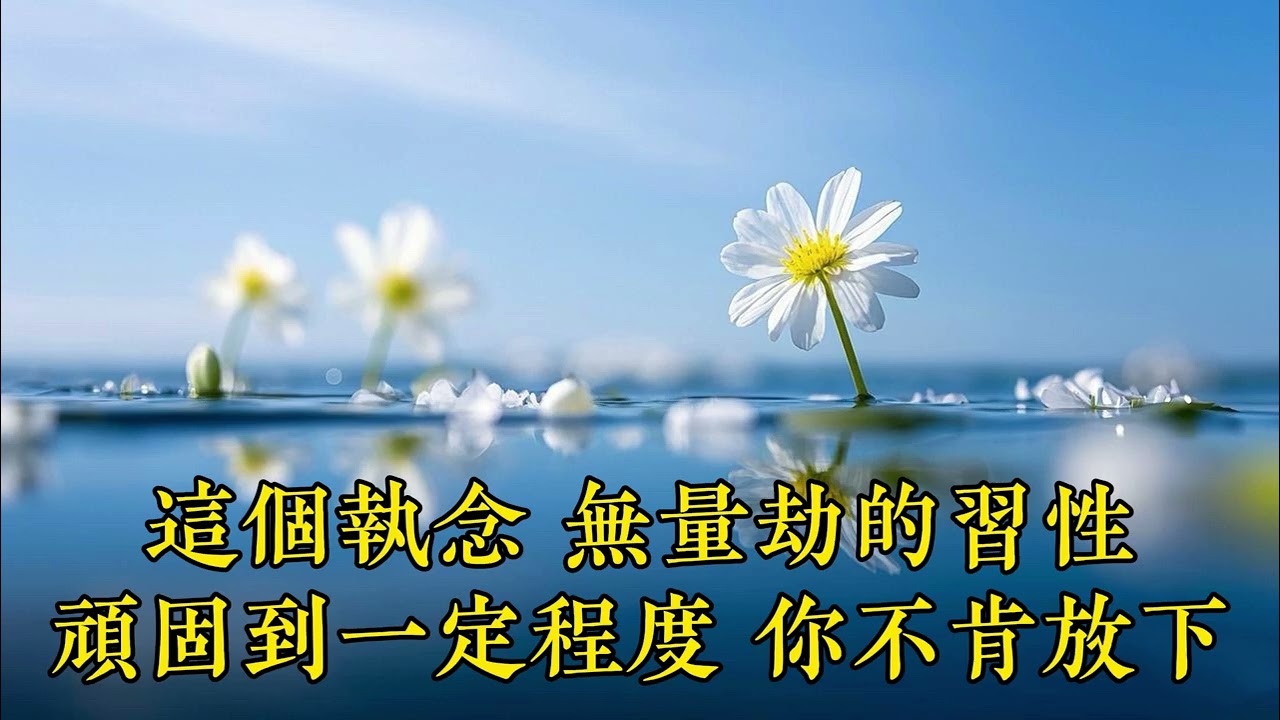 真地老師《無量壽經》菁華開示第428- 一个执念而已