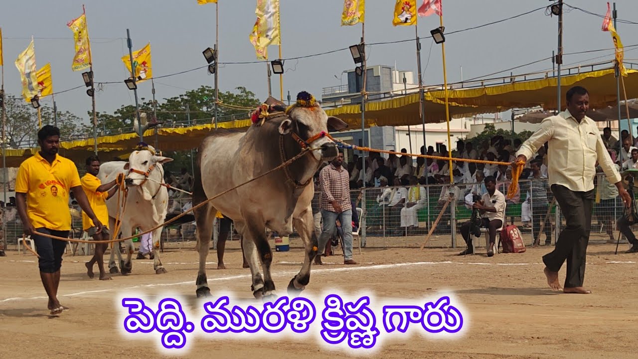 చిలకలూరిపేట జూనియర్స్ 4వ.పెద్ది మురళికృష్ణ,కొండబాలవారిపాలెం, గుంటూరు జిల్లా..