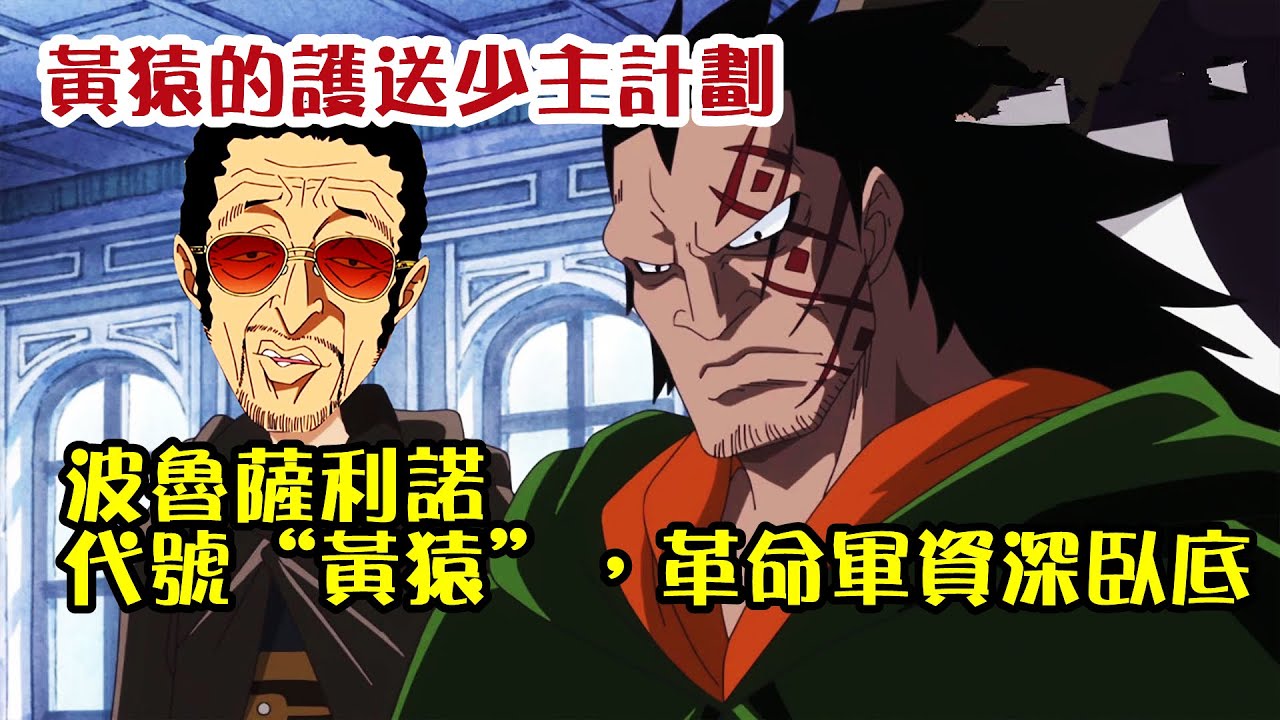 波魯薩利諾，代號黃猿，革命軍資深卧底，為保護少主路飛可謂是煞費苦心【阿金很忙】