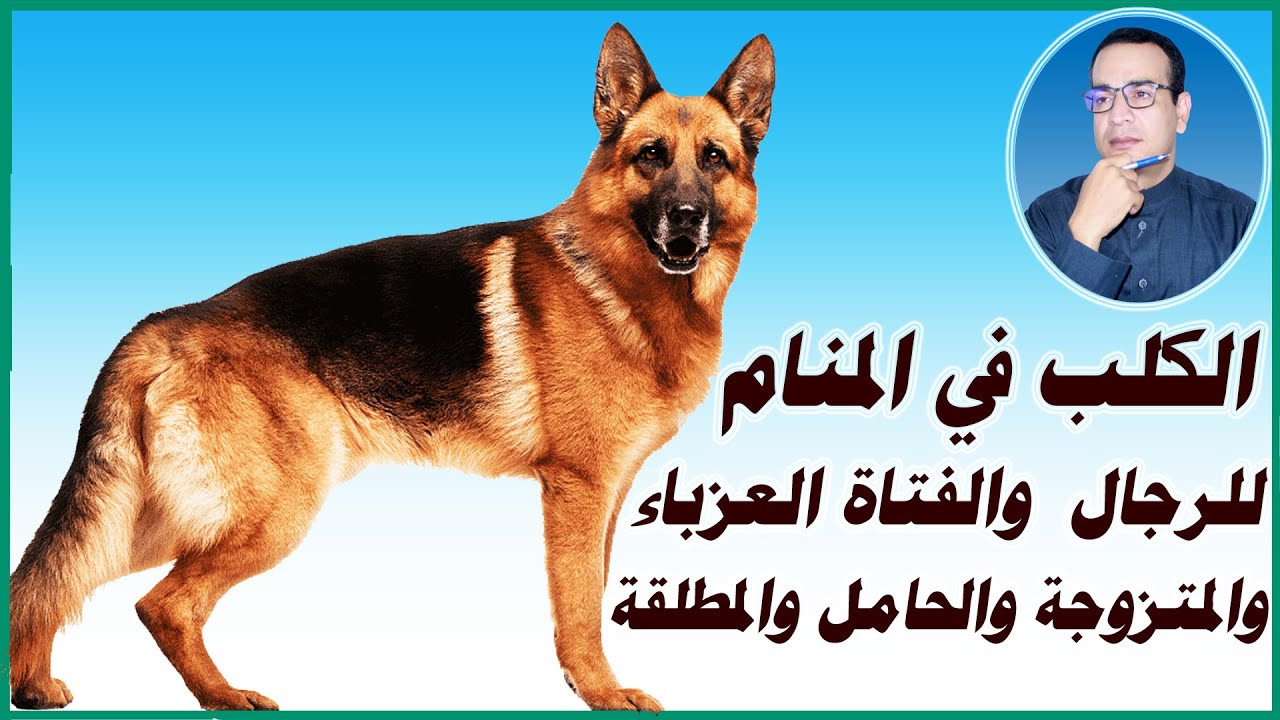 تفسير حلم الكلاب في المنام للرجال والنساء، الفتاة العزباء والمتزوجة والأرمل والحامل والمطلقة.