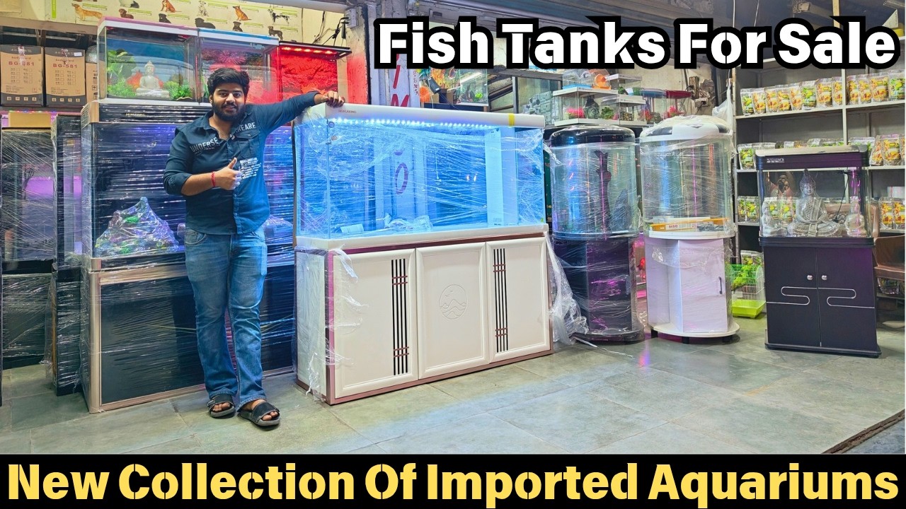 Fish Tanks For Sale New Design Aquariums With Sump 1 to 8 Feet Aquariums For Sale In Delhi MotiNagar