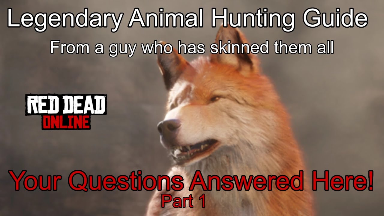 Legendary Animal Hunting Guide - Your Questions Answered - Red Dead Online