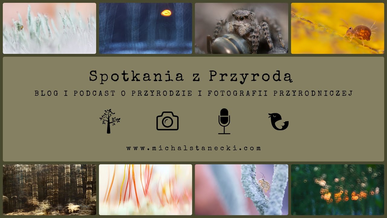 Spotkania z Przyrodą #25 - Joanna Antosik-Żołądek - przyrodnicze impresje i mikroświat skoczogonków