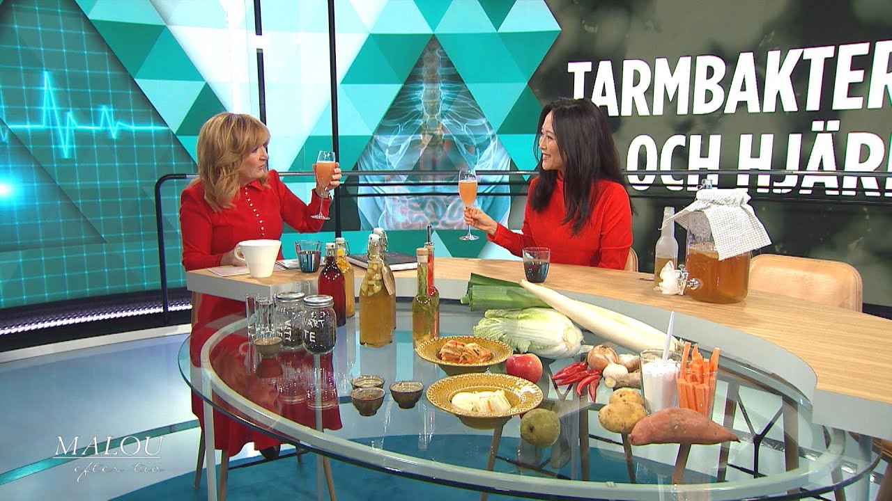 Så påverkar tarmfloran våra hjärnor: ”Kimchi är vår nya superfood” - Malou Efter tio (TV4)