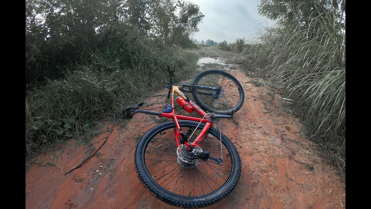 Morning ride after rain | TREK MARLIN 7
