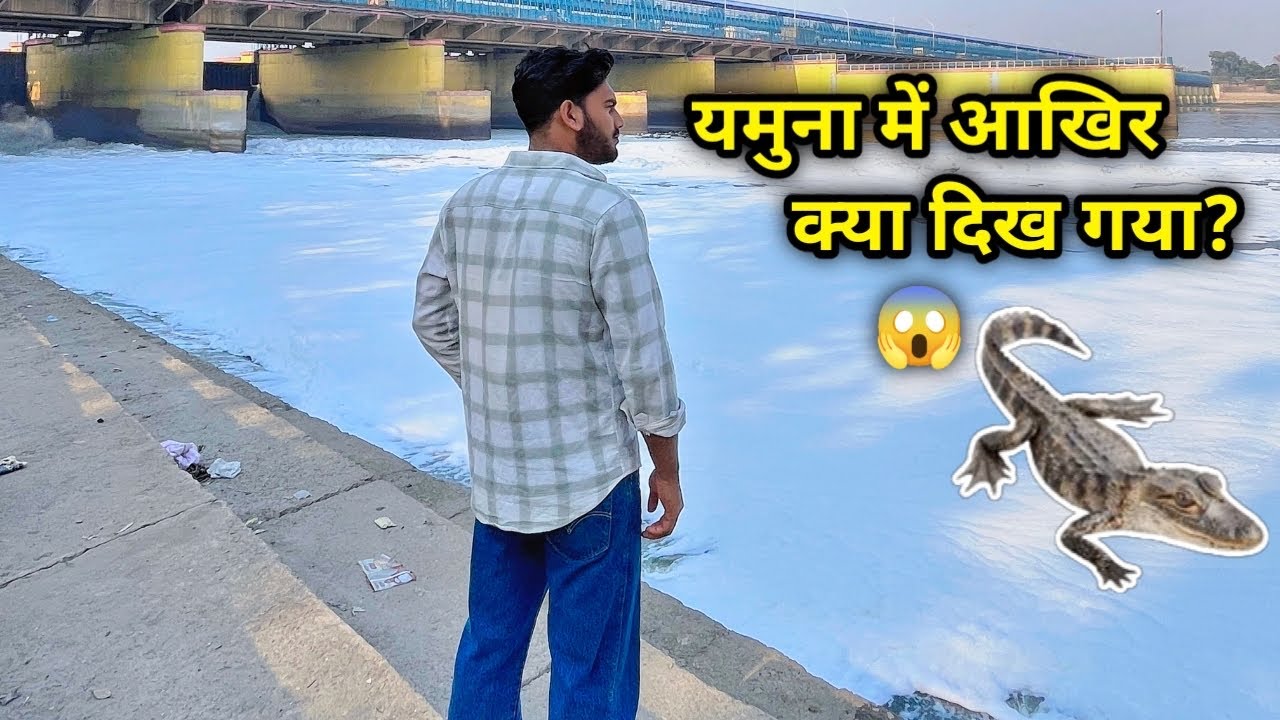 यमुना में आखिर क्या दिख गया?😱😱#viralvideo 