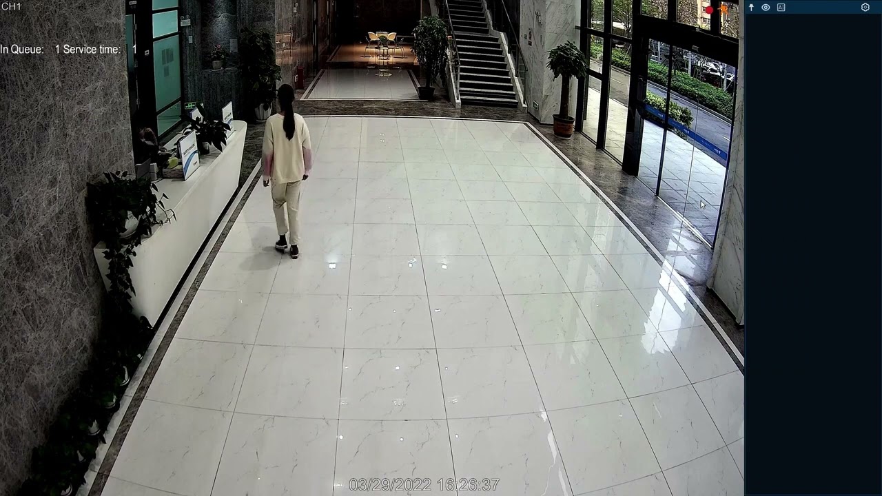 Revolutionizing Crowd Management: Queue Length Detection with LA Vision CCTV Cameras