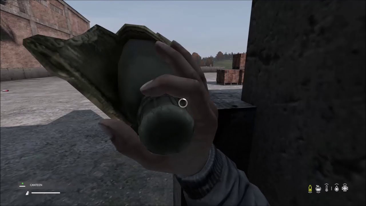 A Memorable Bohemia Interactive Special DayZ Vigor MOH ReCON1