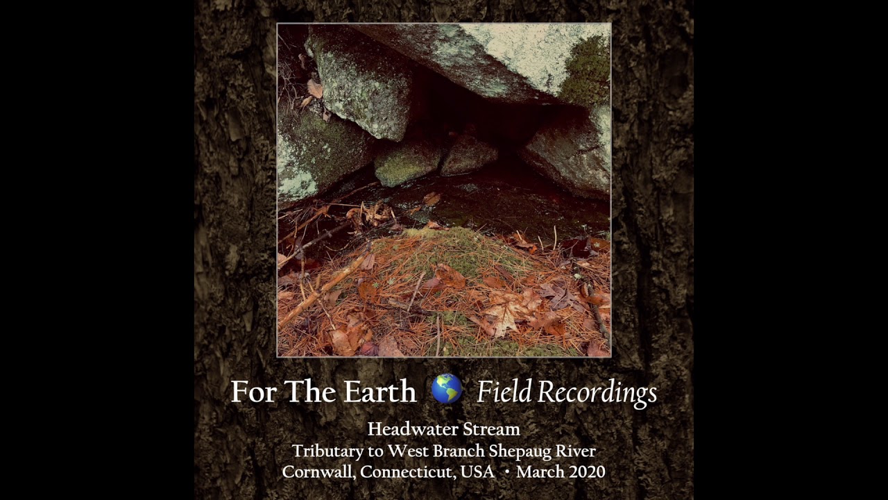 Headwater Stream