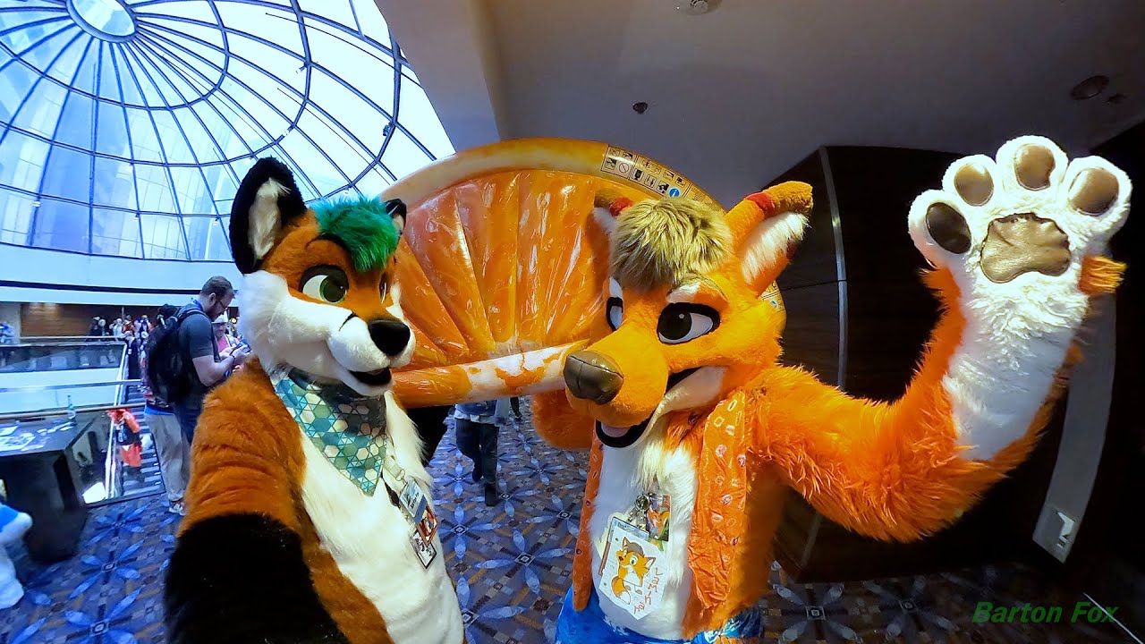 Midwest FurFest 2023 (MFF 2023) — случайные клипы