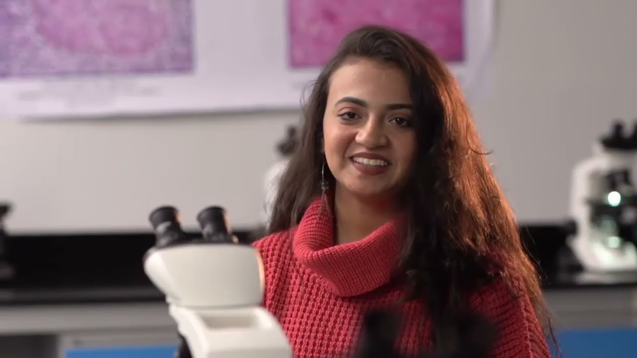 Merit University