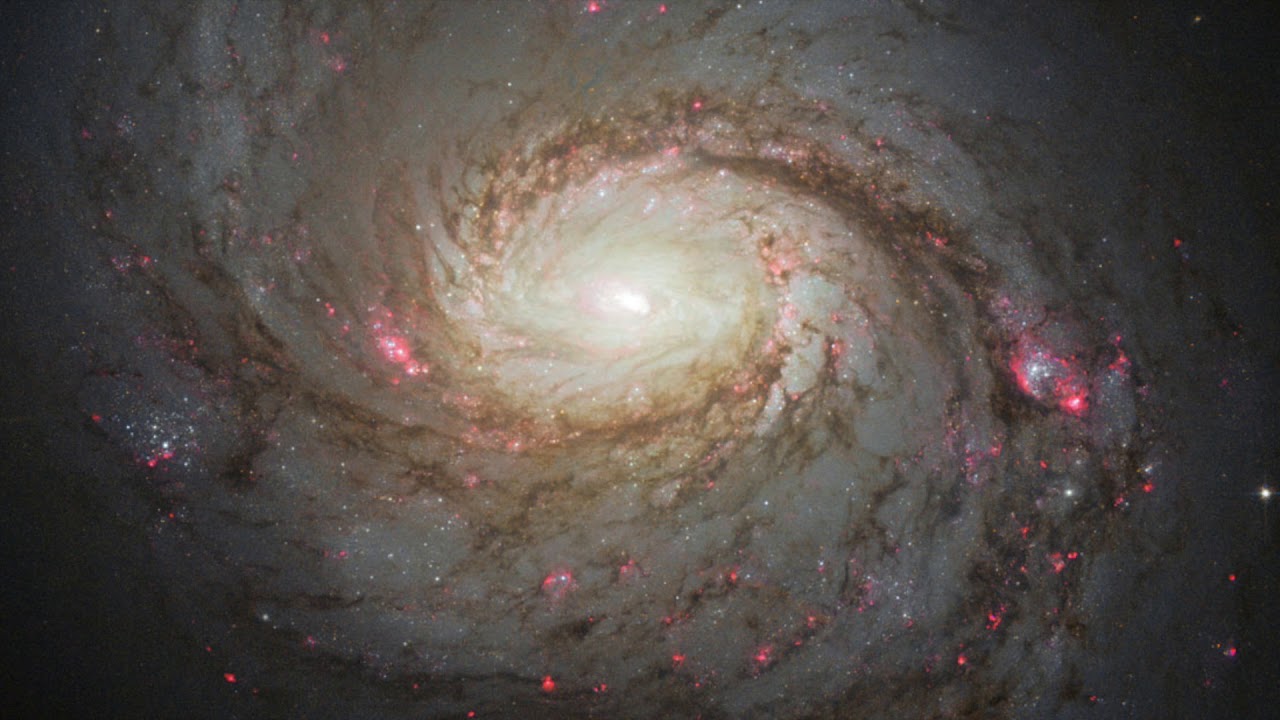 Fermi Paradox: Intergalactic Civilizations