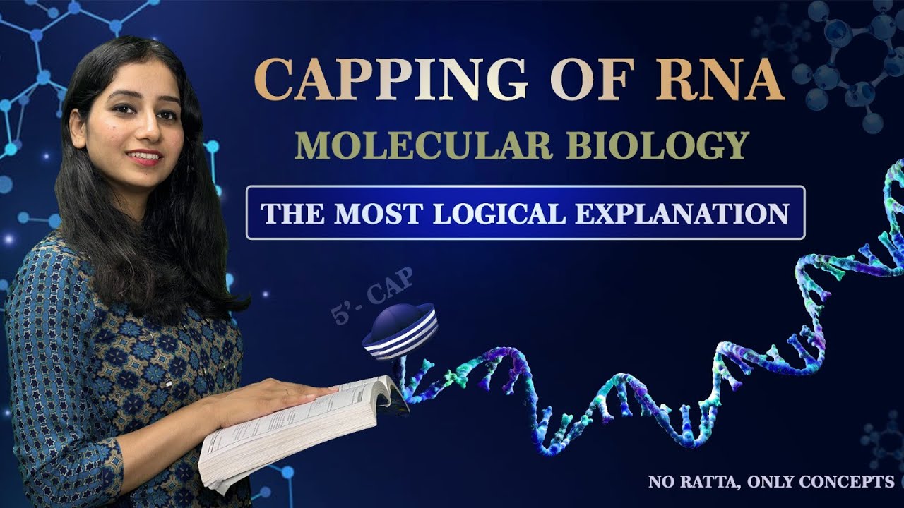 Capping of RNA II Molecular Biology I Eukaryotic mRNA modification I Bansal Biology