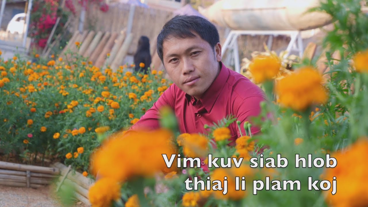 Vim txoj kev siab hlob thiaj li plam koj 2/20/2020