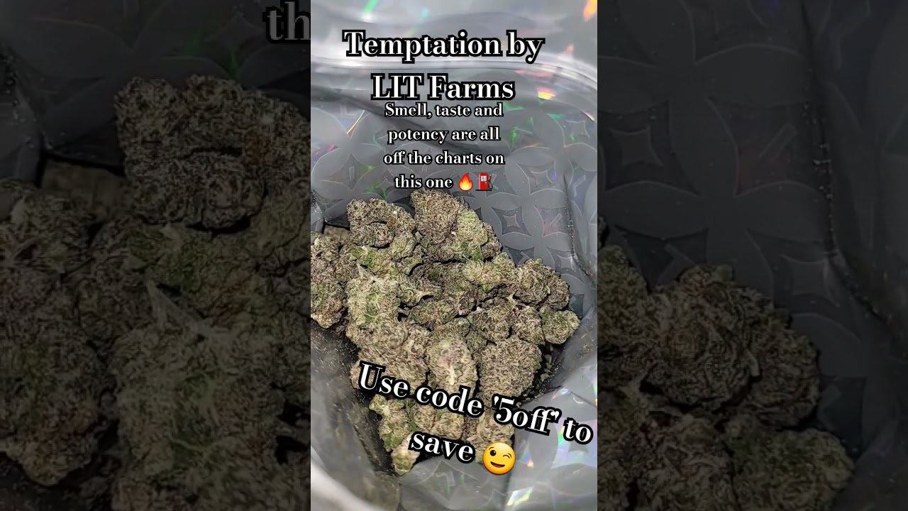 Temptation by LIT Farms thca flower dank potent fire mail usps