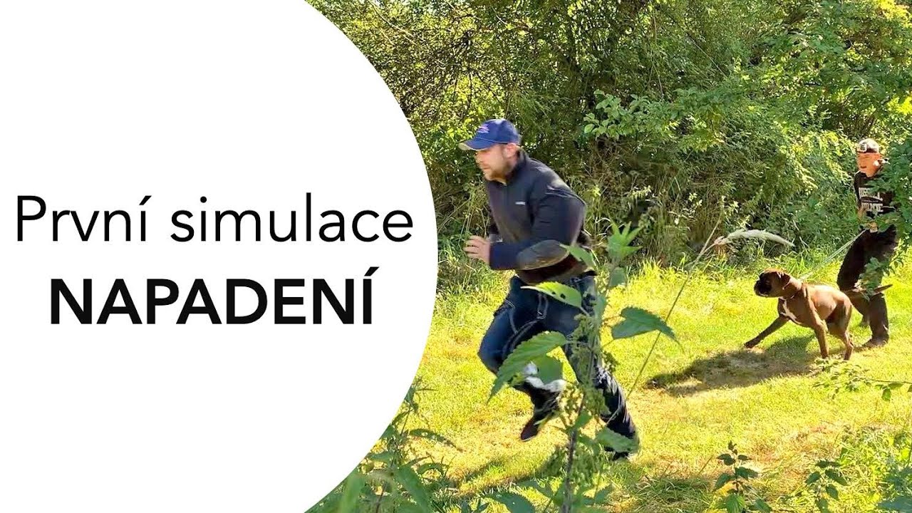 #65 OBRANY: První simulace PŘEPADENÍ - ukázka