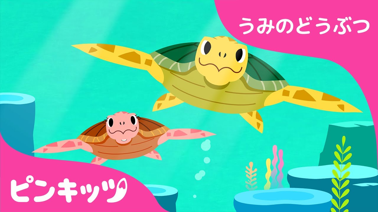 ウミガメ | うみのどうぶつ | どうぶつのうた | 知育動画 | キッズ動画 | ピンキッツ童謡